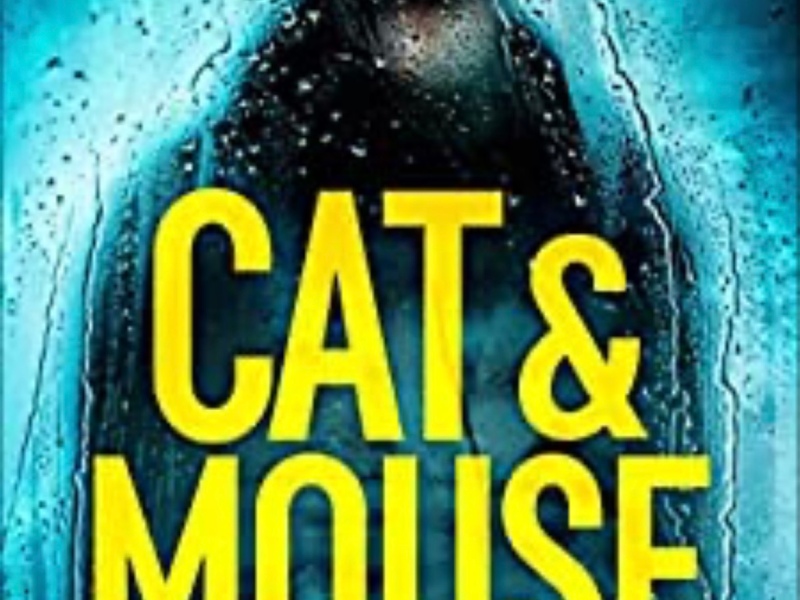 Cat and Mouse – M J Arlidge